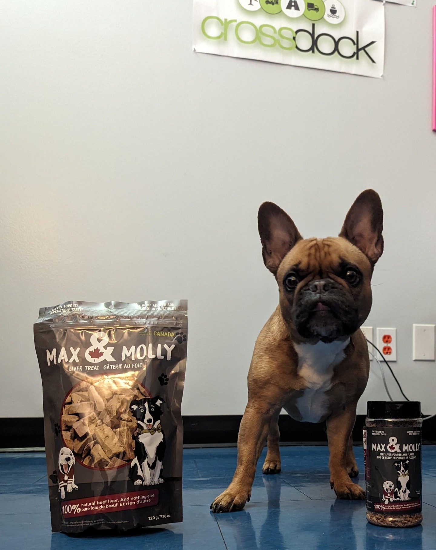 Crossdock's official four-legged greeter Zoe can't wait to dig into these treats from our wonderful clients Sana Petcare.

#Canadian3PL
#3PLCanada
#LogisticsCanada
#SupplyChainCanada
#CanadianLogistics
#3rdPartyLogistics
#LogisticsSolutionsCanada
#CanadaFreight
#CanadianWarehousing
#TransportationCanada